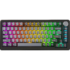 DrunkDeer A75 Pro Magnetic Switch Keyboard, Fast Trigger Mechanical Gaming Keyboard, Adjustable Actuation, Hall Switch, RGB PBT Keycap, Compact, TKL, 82 Keys, Wired, USB