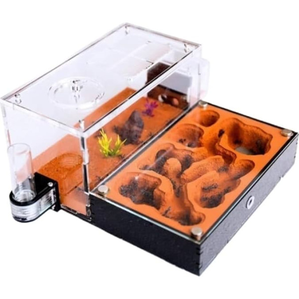 Ant Farm for Adults Ant Farm Ant House Examination of Ant Behavior Ant Nest Ant Terrarium Educational Formicarium for Ants Terrarium
