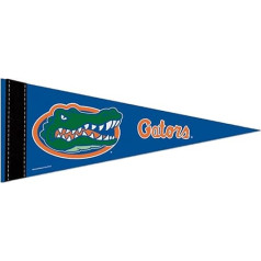 NCAA University of Florida WCR90297011 4 x 10-inch Carded Mini Pennant
