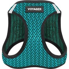 Best Pet Supplies Voyager Step-In Air Dog Harness, All-Weather Mesh Harness for Small and Medium Dogs, Turquoise, S