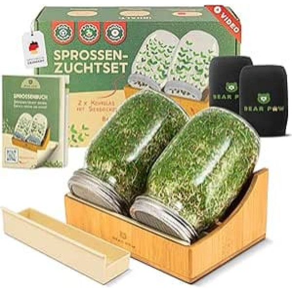 BEAR PAW® Sprout Glass Set of 2 – 1000 ml Germination Glass for Sprouts Seedlings – Includes Bamboo Holder, Darkening Covers, Free Video Course, Sprout Book) – Sprouting Glass Set – Sprouts