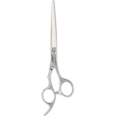 Hairdressing Scissors, 2 Types of Hair Cutting Hairdressing Scissors, Hair Cutting Scissors, Hairdressing Tool for Family Salon (Scissor Without Teeth) Hair Care and Styling, silver, japanese