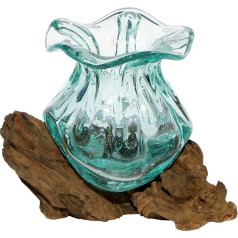 Gamal Rooted Wood Glass Vase Teak Wood Handmade Vase Diameter Glass 10-11 cm Pot XS