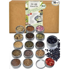 direct&friendly Organic DIY gin spice set, gift set, 16 different botanicals (1 x 16 cans)