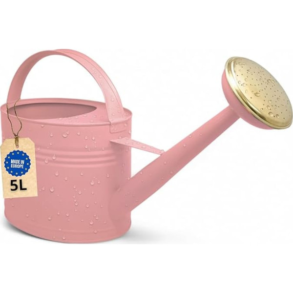 LIVLIG Watering Can 5 Litres, Flower Watering Can for Garden and Balcony, High-Quality Metal Watering Can 5 L Made of Galvanised Metal and Removable Shower, Retro Watering Can with Brass Shower, Pink