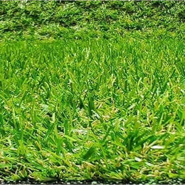 Tadi & Imperio1979 Roll Artificial Grass Carpet Patio Garden 20mm Height (100cm x 400cm)