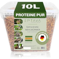 Dried Mealworms Premium Quality Insect Snack Birds, Fish, Koi, Turtles, Rodents, Reptiles, Bird Food, Wild Birds, Hedgehog Food