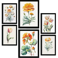 Nacnic Orange Flowers Posters Full Color Nature Botany Prints with Floral Prints on Pure White Backgrounds Interior Design and Decoration A4 & A3