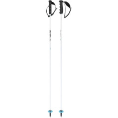 HEAD Worldcup Rebels Carbon Ski Poles White/Black/Speed Blue