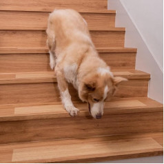 Spurtar Stair Treads Mats Non-Slip Mat, Pack of 15 Transparent Stair Mats Indoor Non-Slip Tape for Wooden Steps, Marble Floor, Non-Slip Protection, Invisible, Self-Adhesive, Non-Slip, 15 x 60 cm