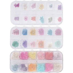 Getrocknete Nagelblumen natürliche Maniküre-Dekoration, echtes getrocknetes Blumen-Nail-Art-Set, 36 Farben DIY-Blumen-Nagelzubehör mit Spitzenkorallen und fünfblättrigen Blumen für
