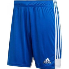 Šorti adidas Tastigo 19 DP3682 / Zila / S