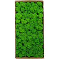 Wall Picture with Real Moss, Preserved Moss Wall Decoration, Real Preserved Moss, No Maintenance Required, Naturally Preserved Moss for Home Wall Party Festivals Crafts Xmas Indoor