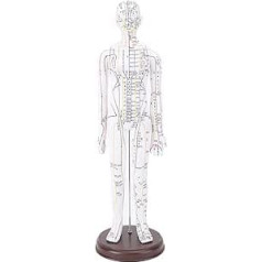 Acupuncture Model, 20.47 Inch PVC Human Body Professional Acupuncture Doll High Definition Human Acupuncture Point Model with Base for Chinese Medicine