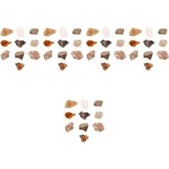 Mobestech 5 Sets Teaching Aids for Rock Samples Gemstones Mineral Rock Specimen Beads Fire Starter Jewellery Amethyst Rock Tumbler Kit Creative Pebble Plastic Box 10 Pieces x 5