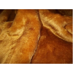 SHORT PLUSH Care Bear Faux Fur Fabric HONEY BROWN