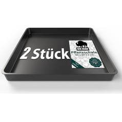 BigDean Set of 2 Large Plant Bowls 60 x 60 x 7 cm Ideal for Growing, Plants & More