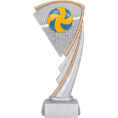 Statuete Volejbols Biemans / 17 cm / daudzkrāsains