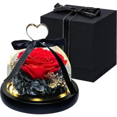 dzmelzu Eternal Rose in Glass, Eternal Rose with a Gift Box as Gifts for Women, Mother, Girlfriend, Girls, Preserved Eternal Rose in Glass for Birthday, Anniversary, Wedding (Red 1)