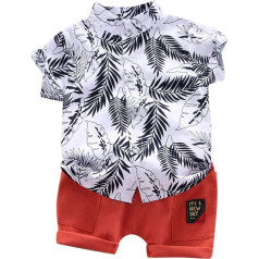 Generisch Pattern Baby Boy Sleeve Short Shirt Set Kids Toddler Tops + Short Clothes Cartoon Boys Outfits & Set