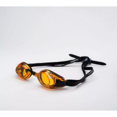 Wesde aizsargbrilles 92800542469 / ONE SIZE