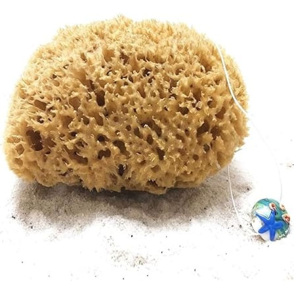tom&pat Natural sponge with cord & glass pendant – DERMATEST: VERY GOOD, unbleached bath sponge shower sponge with peeling effect, directly from Greece, in premium quality (15-16 cm)