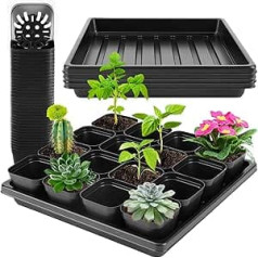 Dicke Sämlingsschalen, 3 Bilder mit 50 Bildern, leicht zu entfernende Anzuchttöpfe, langlebige Schalen für Samenstartung, Anzucht und Mikrogrün