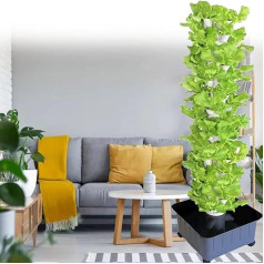 Indoor Hydroponic, Hydroponic Grow System Kit, Water Growing System, Earthless Growing Hydroponic for Home Indoor Hydroponic Growing System, with Hydration Pump