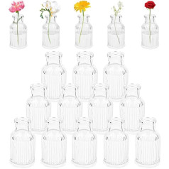 Pack of 12 Mini Glass Vases, Decorative Vase Glass Clear, Small Flower Vases Glass for Wedding Home Table Decoration, Decorative Bottles for Flowers Bud Dried Flowers