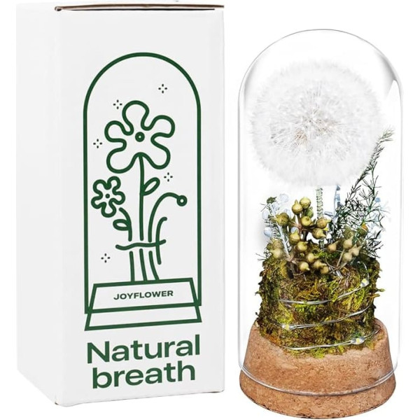 JoyFlower The dandelion in the glass roof, the true dandelion, the eternal flowers of women, the flower friendship and the birthday gift of the daughter of the best friend, flower gift