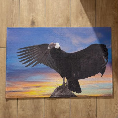 rutschfeste Fußmatte Für Die Diele Fussmatte Balkon Raubvogel Schmutzfangmatte Tiermotiv Fussmatte Innen, 40x60cm