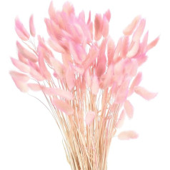 QUARKZMAN Pack of 120 Natural Rabbit Bunny Tails Dried Flowers 17 Inch Mini Pampas Grass Lagurus Ovatus for Flower Decorations at Weddings Christmas, Gradient Light Pink