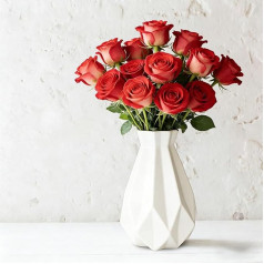 Vase, Vase Creative Plastic Vase, Living Room Ornaments Vase Hydroponics Creative Flower Arrangement, White Geometric Desk Decorative Vase (21.5 x 11 x 6.8)