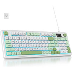 96% Wireless Gaming Keyboard, Green, Quiet Membrane Keyboard, Mechanical Feel with Numeric Keypad, QWERTY American Layout, Bluetooth/2.4G/USB RGB Creamy Keyboard L98-Snowgreen