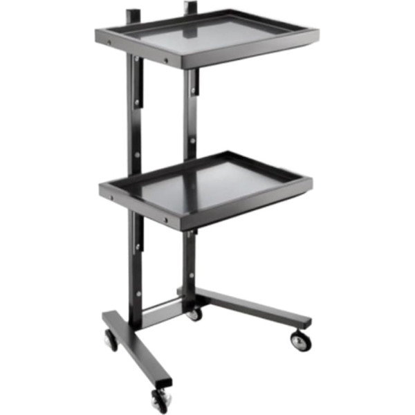 d 2-stöckiger Rollwagen für Friseure – Salonwagen aus Edelstahl mit Ablage für Friseursalons, Tattoo-Studios und professionelle Friseure – Schwarz 40 x 30 x 86 cm