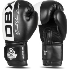 Boksa cimdi 10oz - Harmony - Valor Series / 12 oz