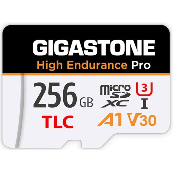 GIGASTONE 256GB Micro SD Card, High Endurance Pro Series Speed up to 100MB/s, Compatible with Redtiger Rove VIOFO VANTRUE PRUVEEO ARIFAYZ Dash Cam, MicroSDXC UHS-I A1 V30 U3