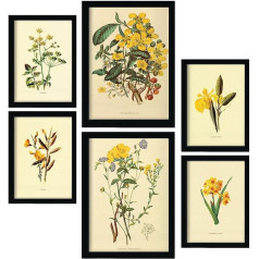 Nacnic Set of 6 Yellow Flowers 2 Posters Vintage Prints Aesthetic Decorative Prints for Your Living Room Bedroom Home Sizes A4 and A3