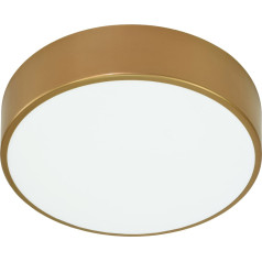 OVO LED plafons, 24W, 4000K, 2750lm, zelta tērauda, matēta stikla difuzors, IP20, ? 300