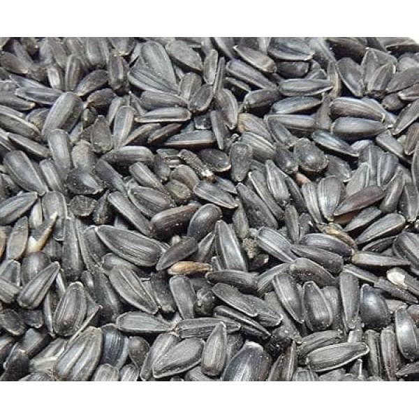 Sunflower Seeds, Black, 10 kg, Bird Food, Winter Food