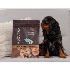 Addvena boosted by superfoods pieaugušiem mazo šķirņu suņiem 2,5kg