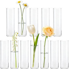 BTSD-home Cylinder Glass Vase Set as Small Vases for Table Decoration - Vases Small Table Decoration for Wedding Decoration, Living Room Decoration, Party Decoration, Holiday Gifts, Pack of 12