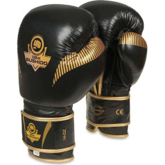 Boksa cimdi 10oz - Aureos - Valor Series / 10 oz