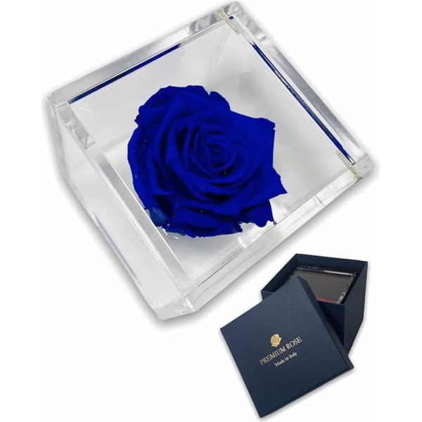 Passionefiori.it S 1081 Luxury Rose Stabilised Real Cube Plus Thick Luxury 8 and Luxury Gift Box, Pink Cube Stabilised Blue, Pink