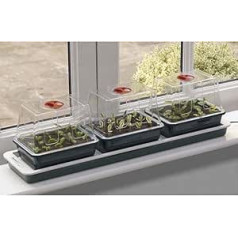Worth Gardening Plant Nursery Station for Window sills – Pack of 3)