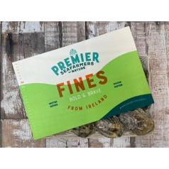 Fresh Irish Oysters Pack of 12 Oysters from Ireland Fresh 1 Dozen Rock Oysters