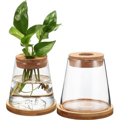 Happyyami Pack of 2 Plant Glass Vases, Plant Terrarium, Plants Propagation Station, Water Station, Plant Glass Vase with Wooden Lid, Clear Glass Vases with Base for Hydroponics, Home, Office Decor