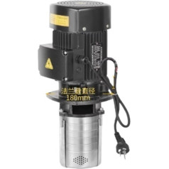 CH2V-50D Single-Phase 750W Machine Tool High-Pressure Water Pump