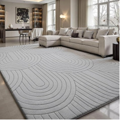 Sour Lemon Living Room Rug, 240 x 300 cm, 3D Semicircle Pattern, Grey, Washable Rug, Fluffy Carpets, Bedroom Carpet, Area, Short Pile, Fluffy Non-Slip Mat, Children's Room Rugs