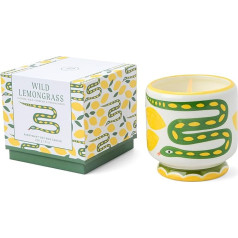 Paddywax Dopo Hand Painted Ceramic Luxury Artisan Candle 8oz Snake - Wild Lemongrass